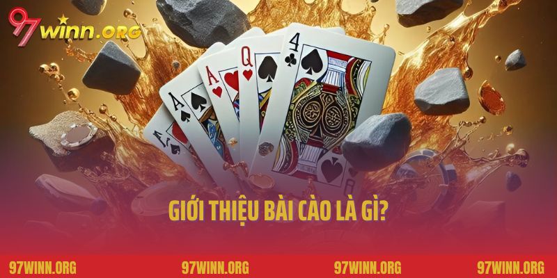 Giới thiệu bài cào là gì?