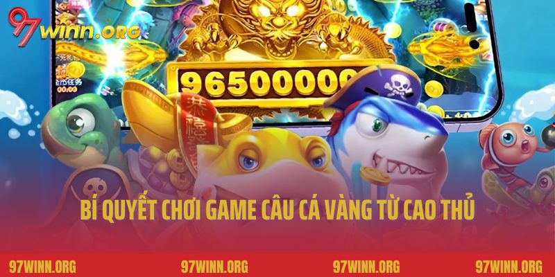 Bí quyết chơi game câu cá vàng từ cao thủ
