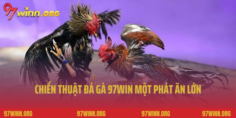 Chiến thuật đá gà 97Win một phát ăn lớn